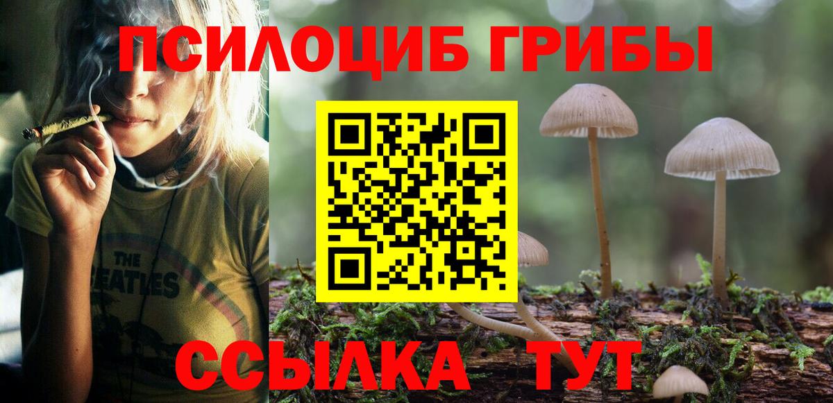 Галлюциногенные грибы прущие грибы Нижнеудинск