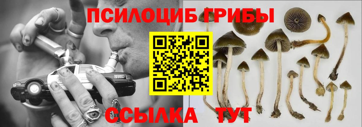 что такое   Галлюциногенные грибы мицелий  Нижнеудинск  Вход с VPN  Псилоцибиновые грибы Psilocybine cubensis 